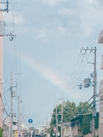 15676759919932.jpg